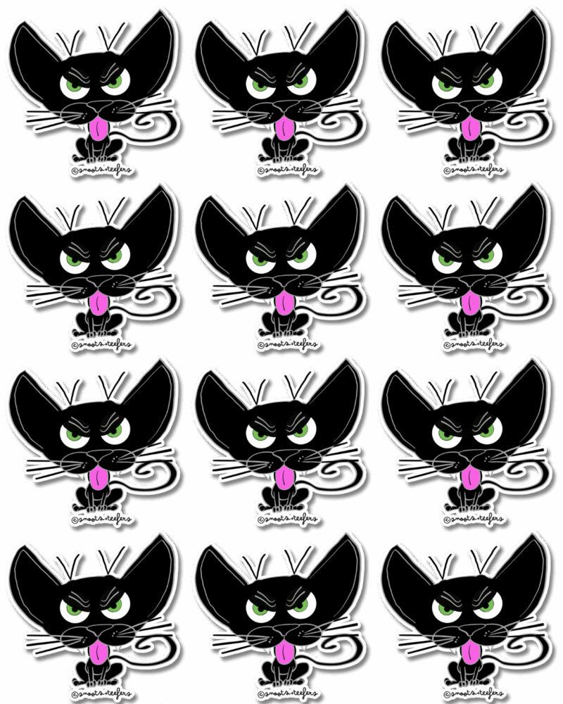 Black cats Archives | snoots + teefers